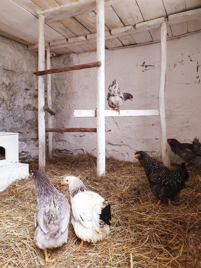 Die Alm In Schoellbuechl, Privatzimmer Sankt Martin  Bagian luar foto